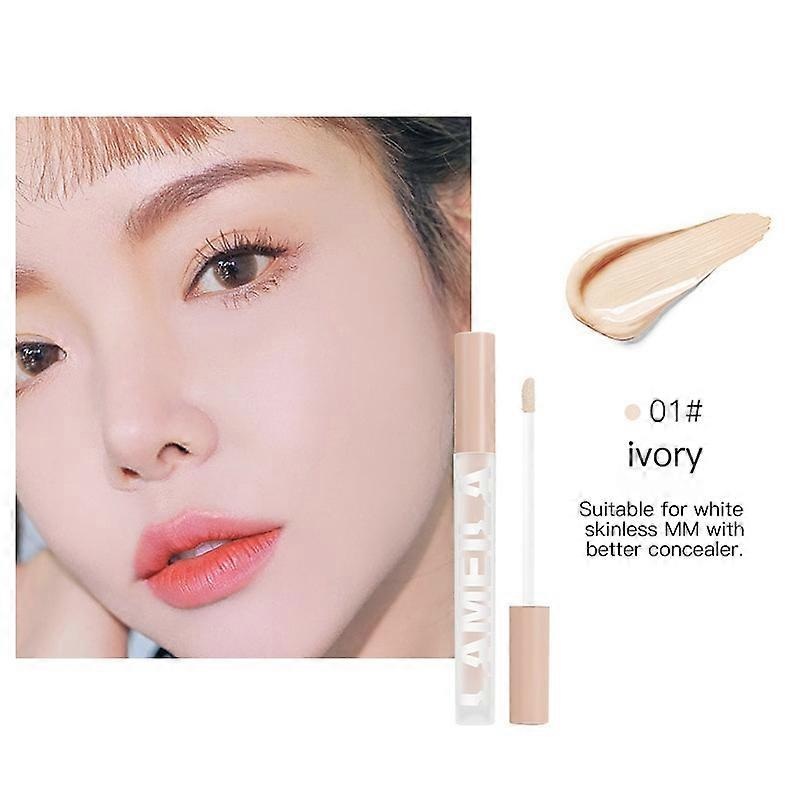 Air Cushion Concealer Facial Flaw Conceal Eraser Liquid Foundation Waterproof