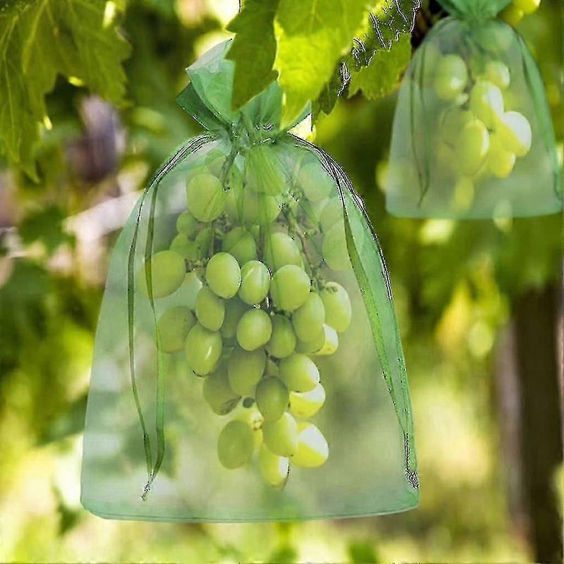 100-Pack Fruit Protection Bags, 30x20cm & 23x17cm, Drawstring Organza for Wasps, Birds, and More